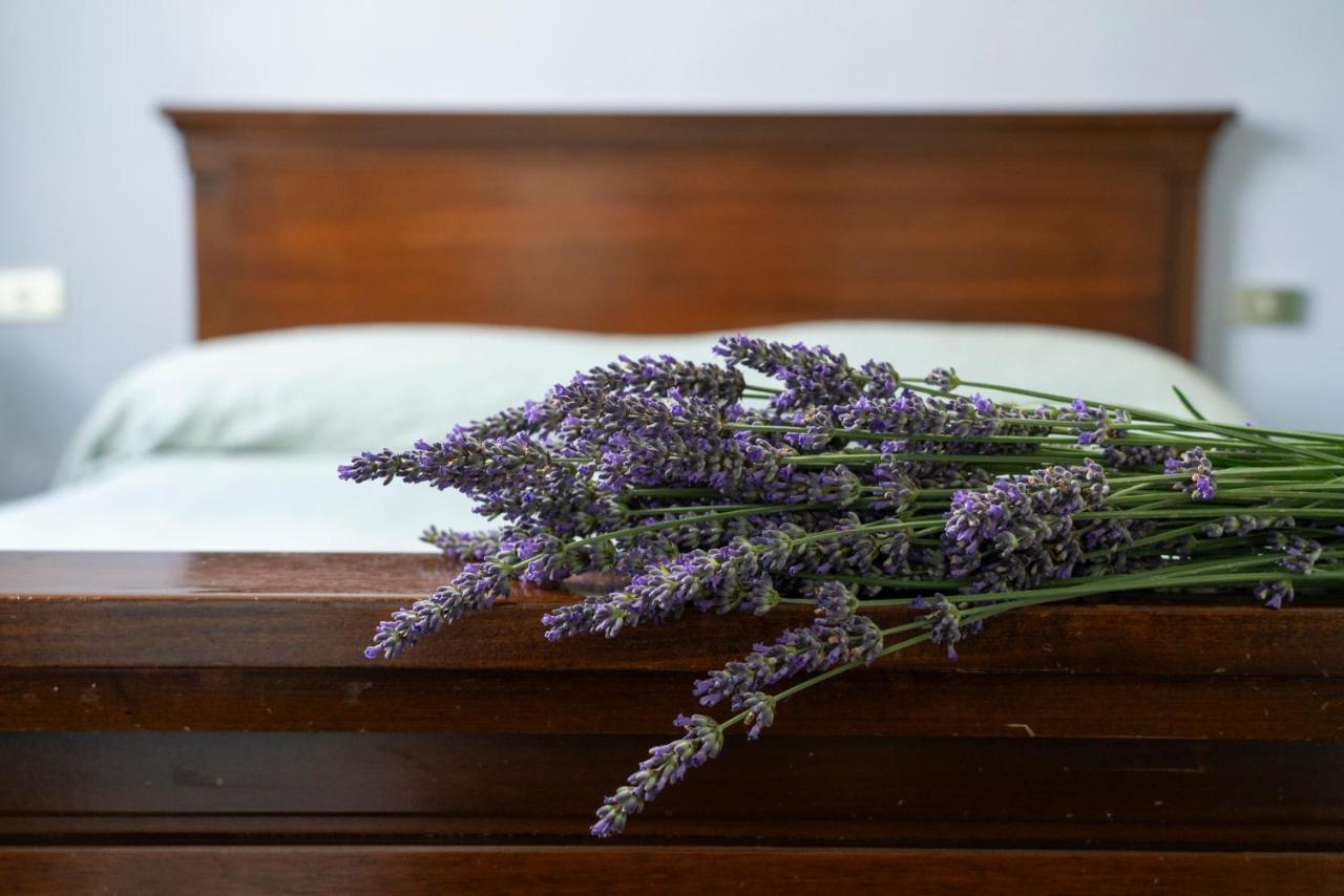 Lago Maggiore A 10 Minuti "Cascina Lavanda" Casalzuigno Buitenkant foto