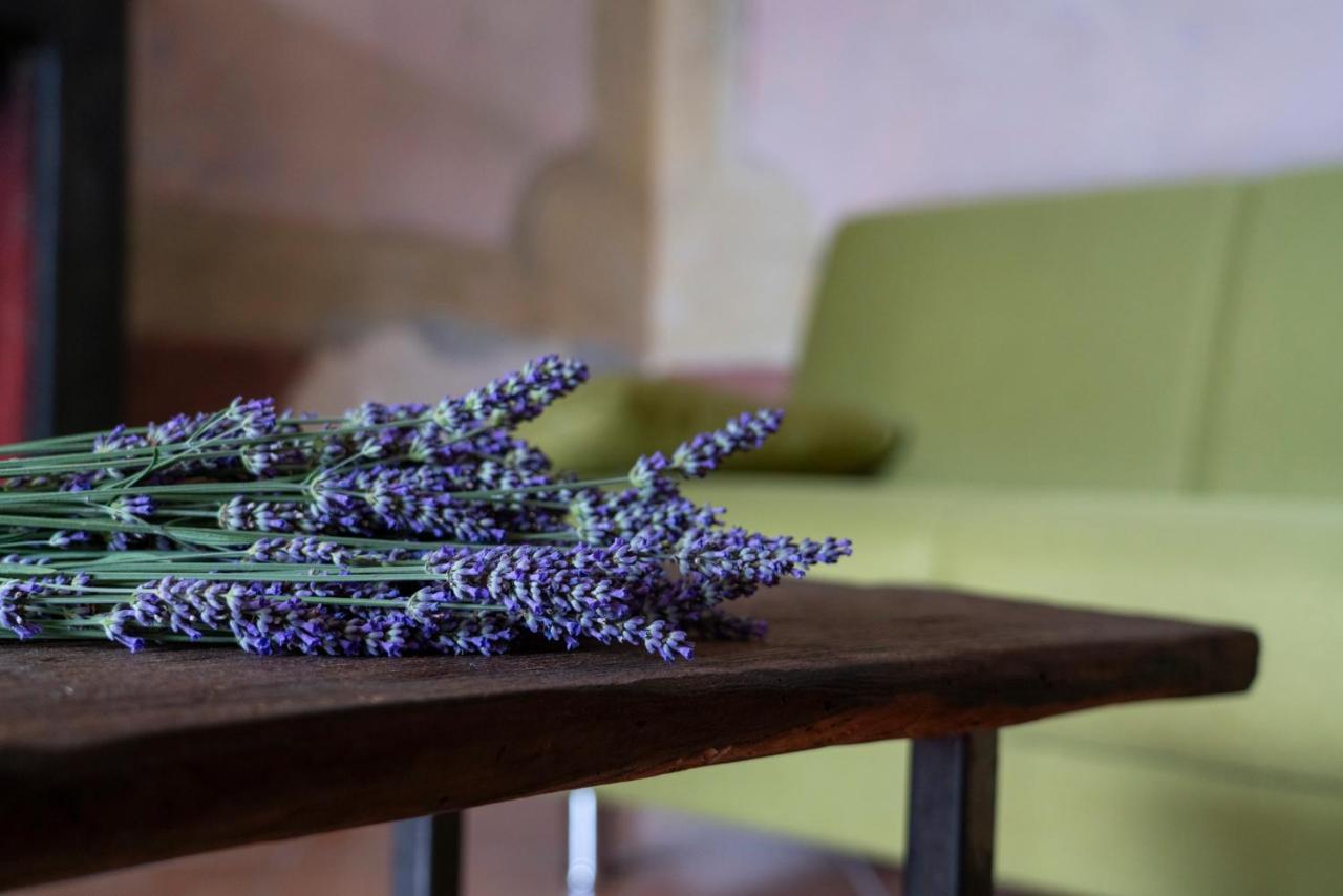 Lago Maggiore A 10 Minuti "Cascina Lavanda" Casalzuigno Buitenkant foto